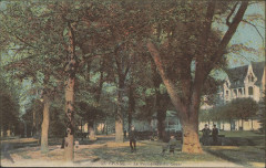 Carte Postale, Epinal, La Promenade du Cours