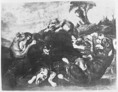 Gemäldegalerie Alte Meister (Dresden) Galeriewerk Braun 1107