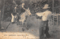 Robinson L'Ane Recalcitrant -
													92 Hauts de Seine
												