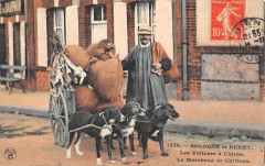 Sologne Et Berry Les Voitures A Chiens Le Marchand De Chiffons -
													45 Loiret
												