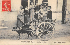 Saint Patrice Attelage De Chiens