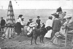 Trouville Coin De Plage