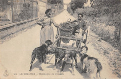 Le Treport Marchande De Poissons ( Metier Attelage De Chiens -
													76 Seine Maritime
												