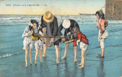Peche Aux Crevettes -
													76 Seine Maritime
												