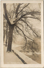 Les Vosges carte photo