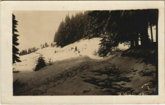 Les Vosges carte photo