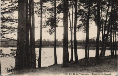 Foret de Troncais Etang de Saint-bonnet -
													03 Allier
												