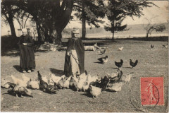 Folklore femmes avec poules France