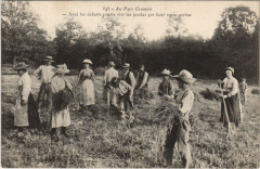 Folklore dans les champs France