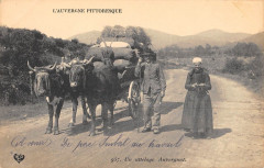 Auvergne Un Attelage Auvergnat - Agriculture