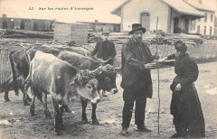 Auvergne Sur Les Routes D'Auvergne / Agriculture