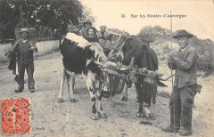Auvergne Sur Les Routes D'Auvergne - Agriculture -
													63 Puy de Dôme
												