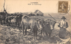 Auvergne Le Labourage / Agriculture