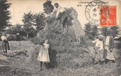 Auvergne La Moisson / Agriculture