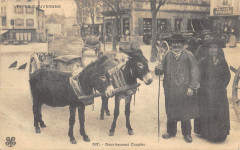 Le Cantal 2 Heureux Couples - Agriculture