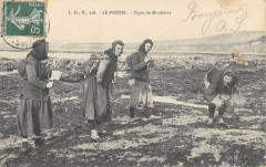 Le Portel Types De Moulieres au Portel