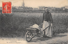 Nos Pourvoyeuses Type Du Littoral Calvados Equille - Agriculture -
													14 Calvados
												
