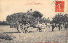Scenes Normandes La Vie Aux Champs Rentree Des Bles / Agriculture
