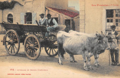 Attelage De Boeufs Pyreneens - Agriculture