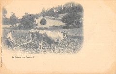 Le Labour En Perigord / Agriculture