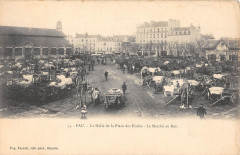 Pau La Halle De La Place Des Ecoles Le Marche Au Bois à Pau