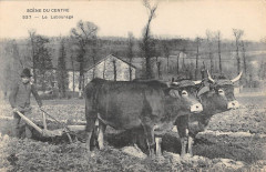 Creuse Scene Du Centre Le Labourage - Agriculture -
													23 Creuse
												