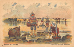 Peche Maritime Les Moules Cotes Normandes