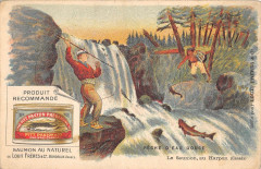 Peche D'Eau Douce Le Saumon Au Harpon Canada