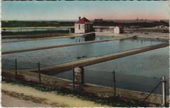 Courseulles-sur-Mer Le Parc aux Huitres à Courseulles-sur-Mer
