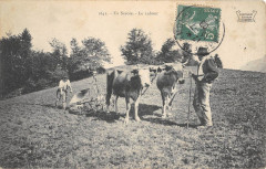En Savoie Le Labour - Agriculture