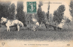 Auvergne La Fenaison Fauchage Mecanique - Agriculture
