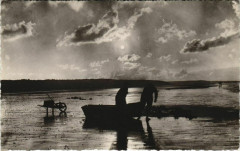 Ceuvre des Pupilles de L'Ecole Publique de la Manche -
													50 Manche
												