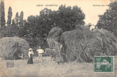Scene Champetre Rentree Des FOINS/ Agriculture