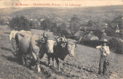 Chassagne Le Labourage - Agriculture -
													58 Nièvre
												