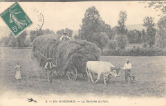 En Nivernais La Rentree Du Foin - Agriculture