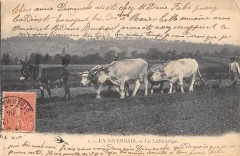 En Nivernais Le Labourage - Agriculture -
													58 Nièvre
												