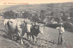 En Morvan Le Labourage / Agriculture -
													58 Nièvre
												
