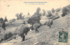 Les Vosges Fenaison En Montagne / Agriculture