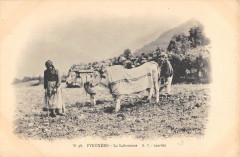 Les Pyrenees Le Laboureur - Agriculture