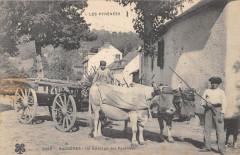 Bagneres Un Attelage Des Pyrenees - Agriculture -
													65 Hautes Pyrénées
												