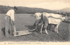 Scenes Et Types Des Pyrenees Le Labourage - Agriculture -
													65 Hautes Pyrénées
												