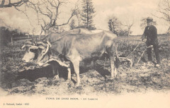 Types De Chez Nous Au Labour - Agriculture