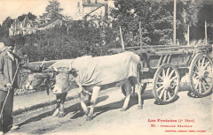 Les Pyrenees Attelage Bearnais - Agriculture
