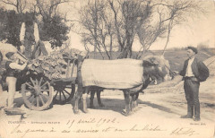 Biarritz Attelage Basque - Agriculture à Biarritz