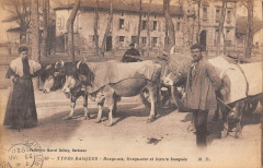 Types Basques Basquais Basquaise Et Boeufs Baques - Agriculture