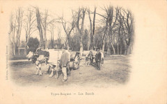 Types Basques Les Boeufs - Agriculture