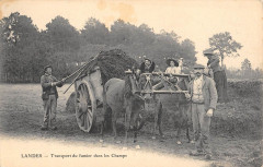 Landes Transport Du Fumier Dans Les Champs -
													40 Landes
												