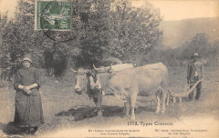 Types Creusois - Agriculture -
													23 Creuse
												
