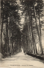 Nacqueville Avenue du Chateau