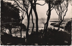 Vaux-sur-Mer La Conche du Conseil